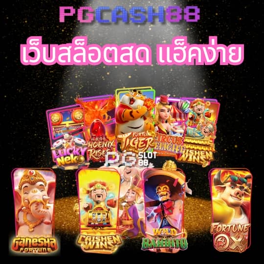 เว็บ cat888 เข้าไม่ได้